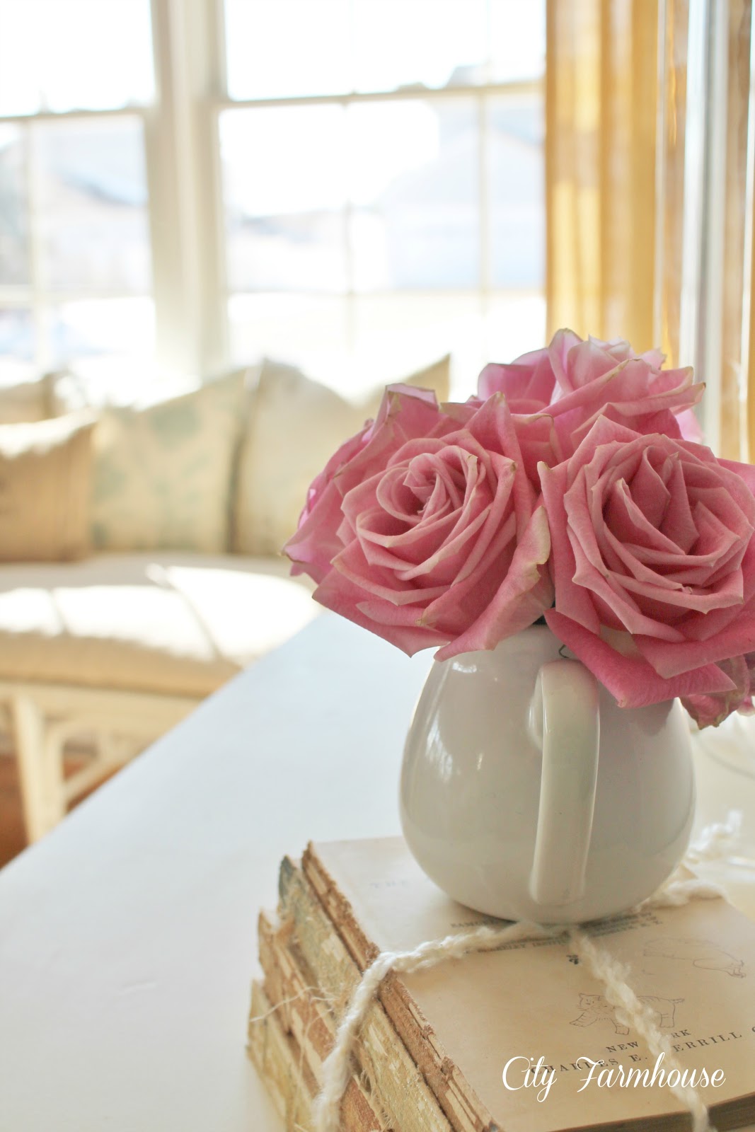 Growing Hybrid Tea Rose Stock Photos Growing Hybrid Tea Rose