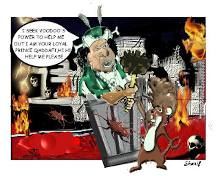 World Wide Cartoons  Qaddafi+6