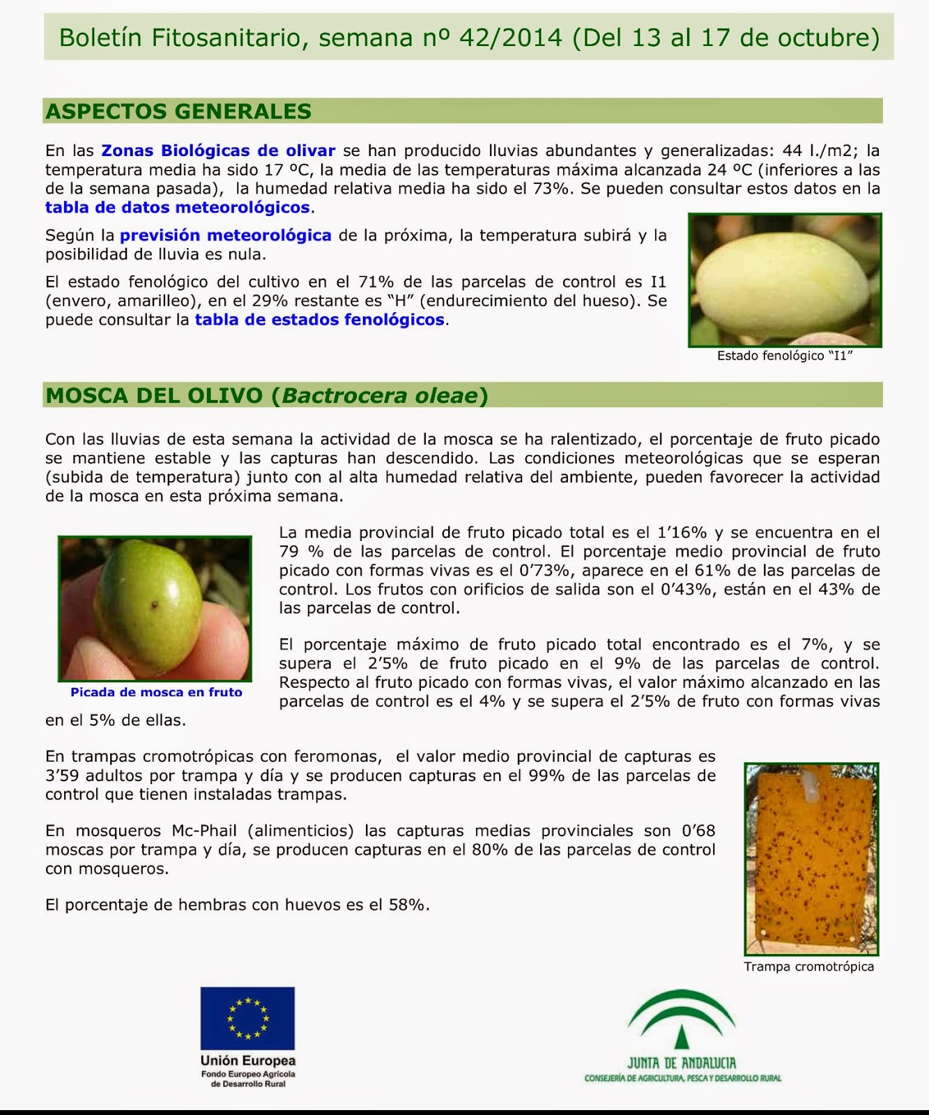 Yo cultivo Aceite Verdial de la Axarquía Boletín fitosanitario del olivar Nº 42 de la provincia