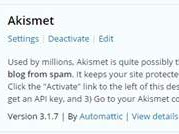 Cara Mendapatkan API Key dan Mengaktifkan Akismet di Blog WordPress Cara Mendapatkan API Key dan Mengaktifkan Akismet di Blog WordPress