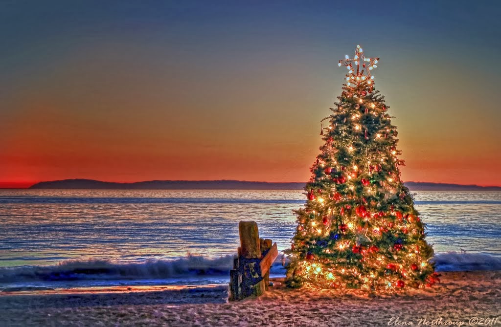 STYLE&CULTURE: 世界のクリスマスツリー*World Christmas Tree 2013*
