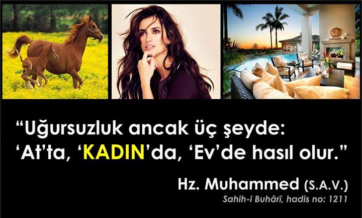 Domuz Etinin Faydaları ATEİSTCAFE Ateistforum