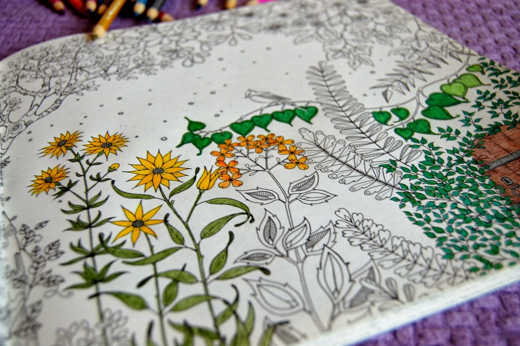 ideias para pintar livro jardim secreto:Livros de pintar para adultos ideias para pintar livro jardim secreto:Livros de pintar para adultos