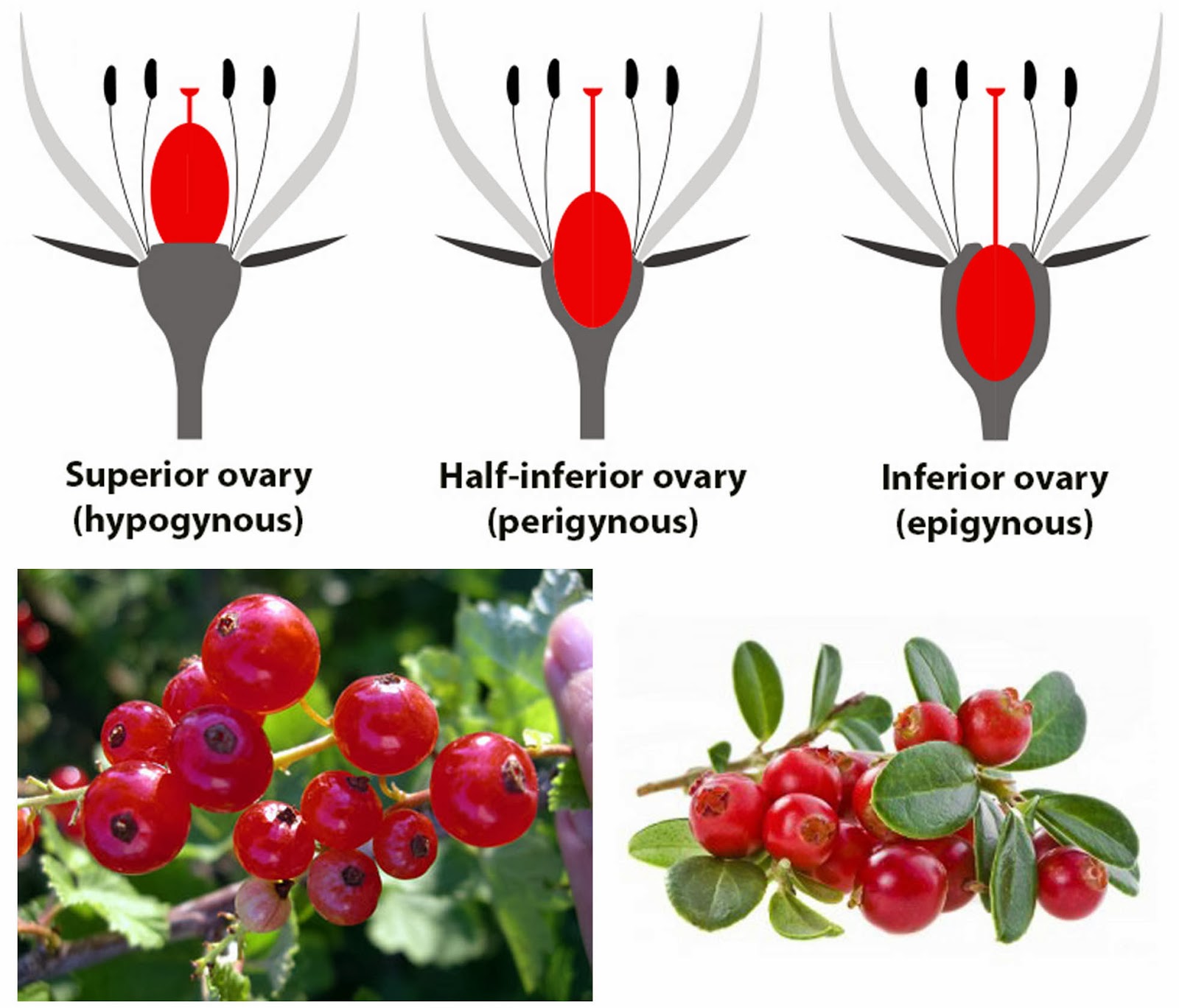 As Many Exceptions As Rules November 2013