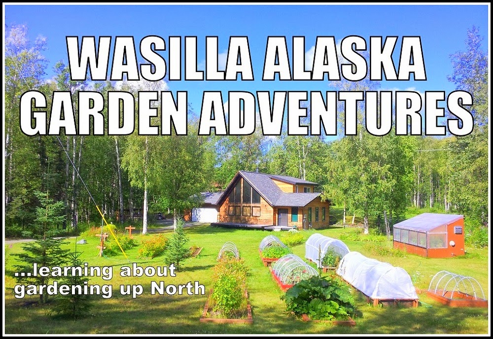 Wasilla Alaska Garden Adventures About Chateau Listeur... the name