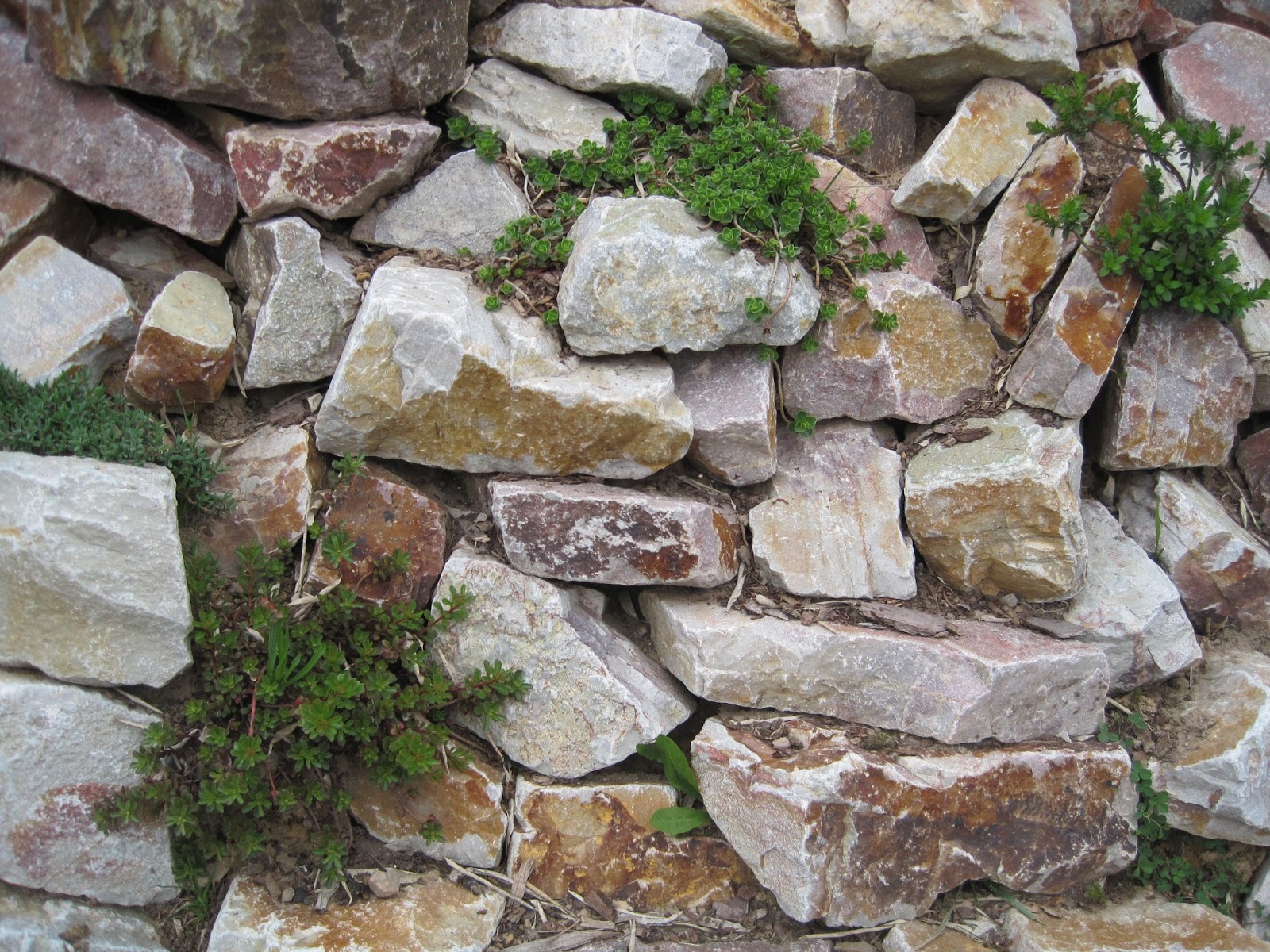 Wir Bauten Orange Medley200 Keller Wiga Gartengestaltung