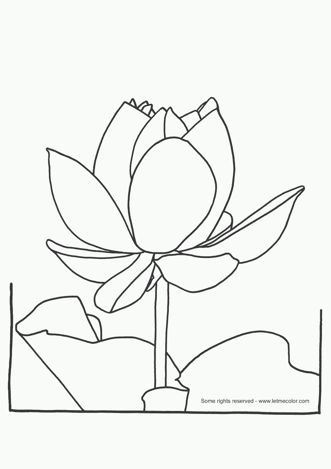 Tranh tô màu hoa sen - cua cuon - cua kinh 2