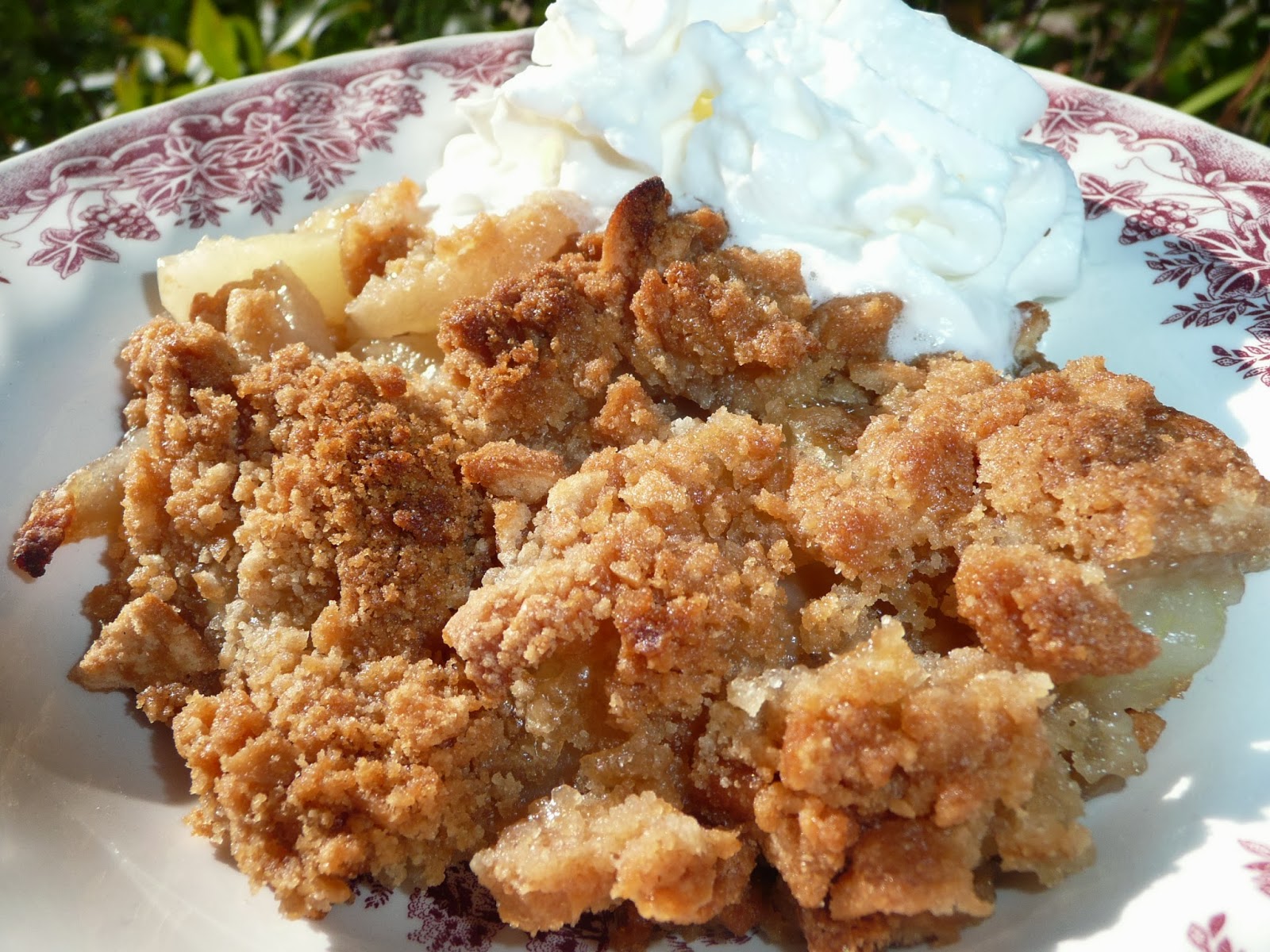 Everyday Dutch Oven VanillaGingerPear Crumble