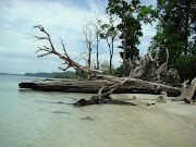Havelock Island (dsc )