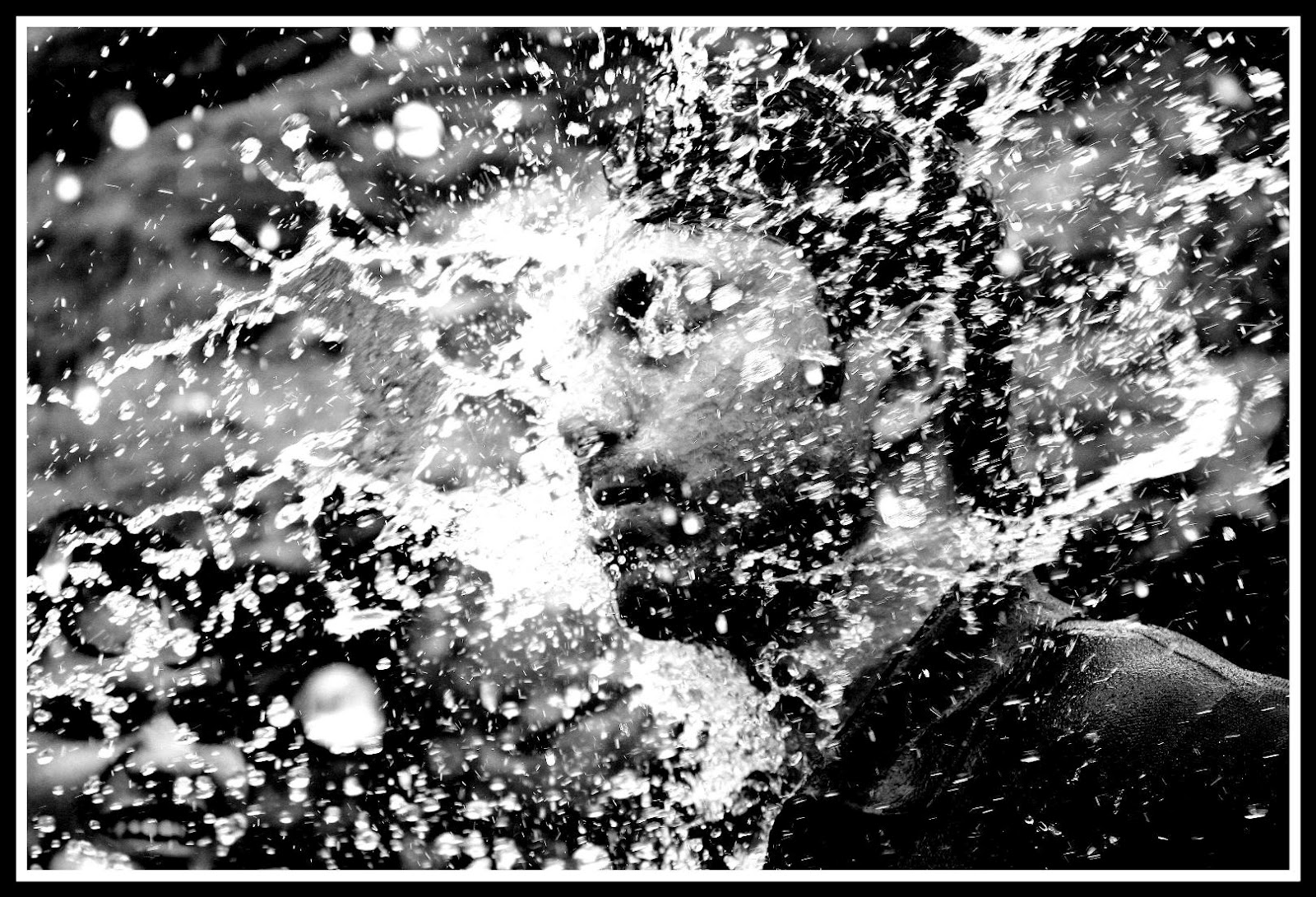 Slow Motion water smash black and white pictures | Black and White