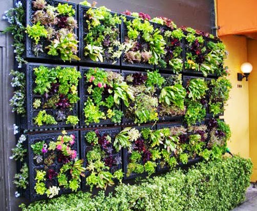 Tips Membuat Taman Vertikal Sederhana | Desain Taman Vertikal Terbaru
