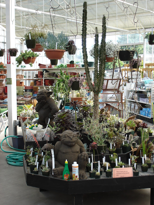 The Outlaw Gardener Watson's Nursery Tent Sale