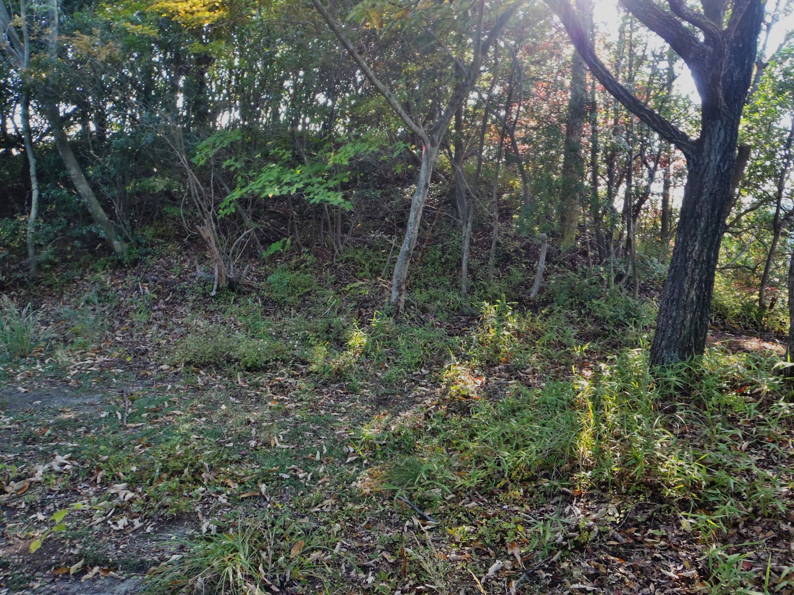 西国の山城 天霧城 香川県仲多度郡多度津町吉原