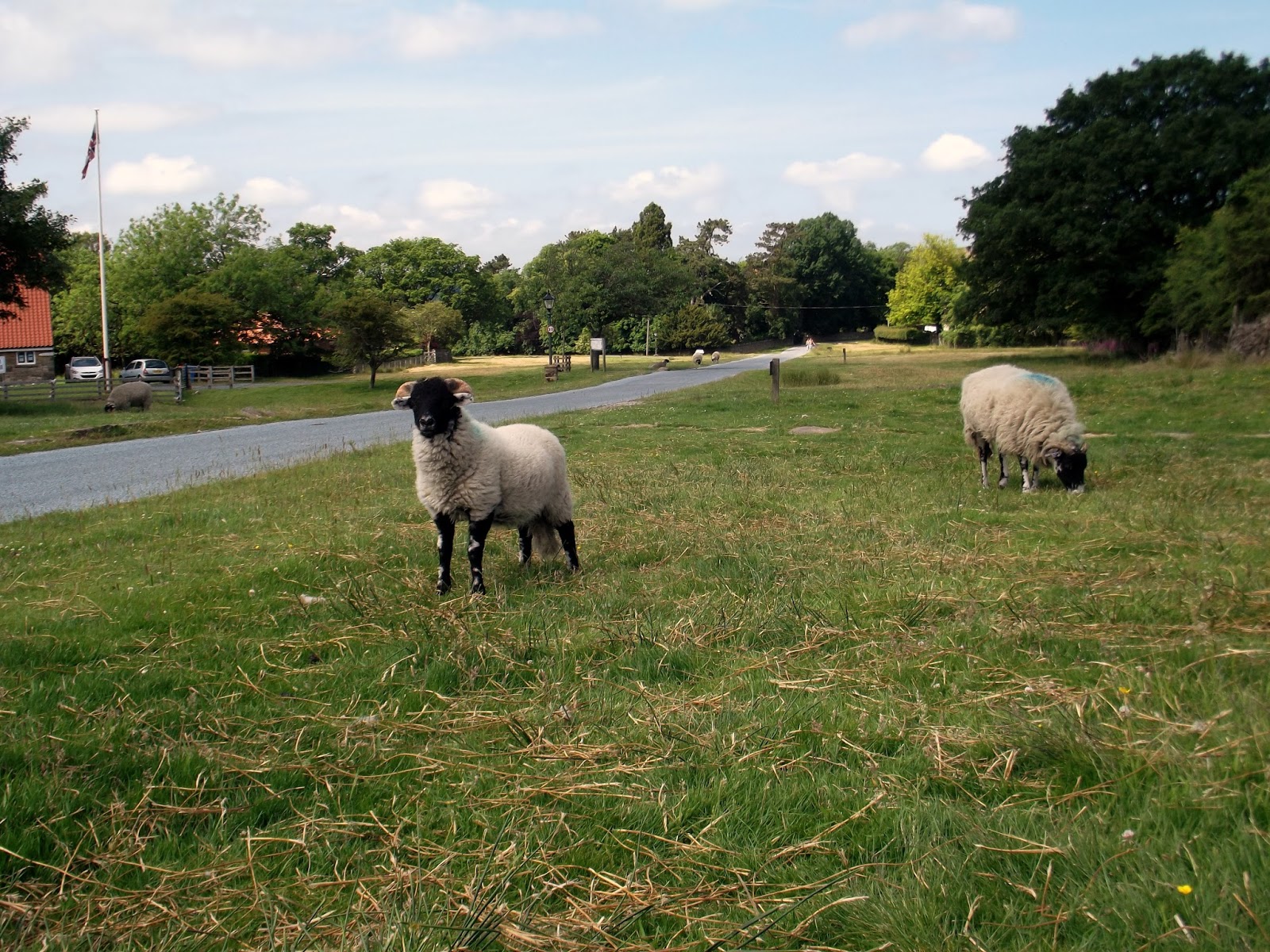 Rush hour in Goathland village.