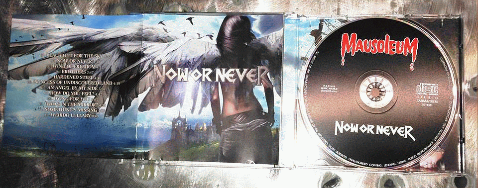 Now+Or+Never+2013+Ricky+Marx+CD.gif
