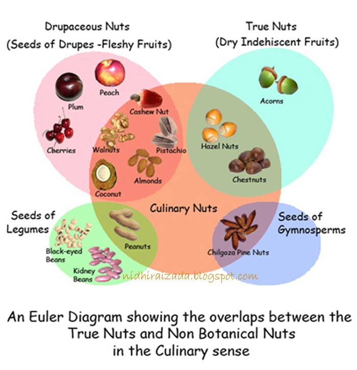 It's Indian Everyday What are culinary nuts?