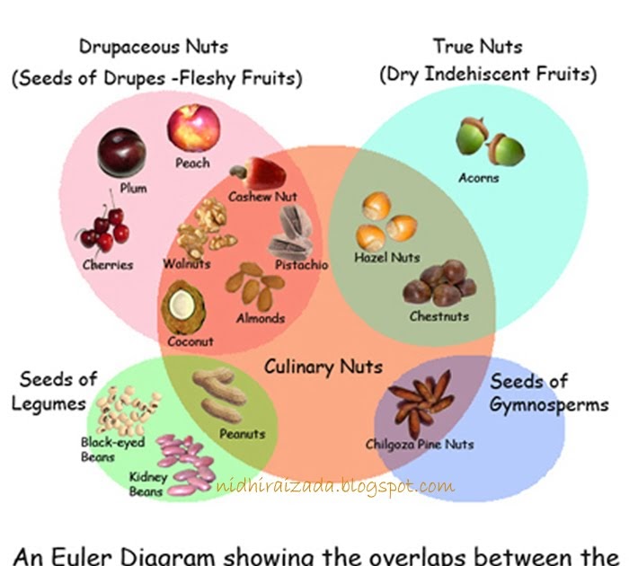 It's Indian Everyday What are culinary nuts?