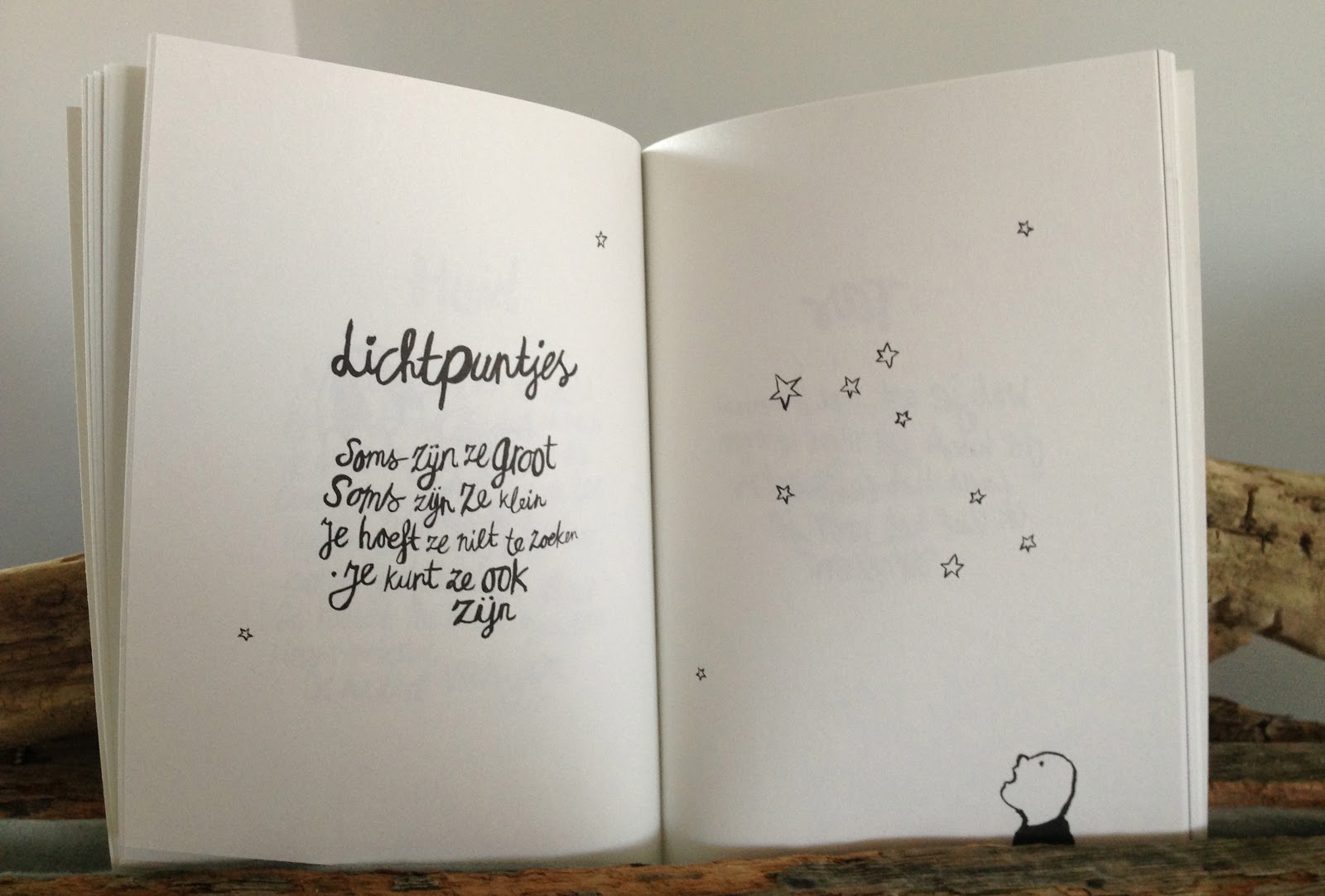 Studio Molenaar Beautiful Store In Amsterdam Sukha