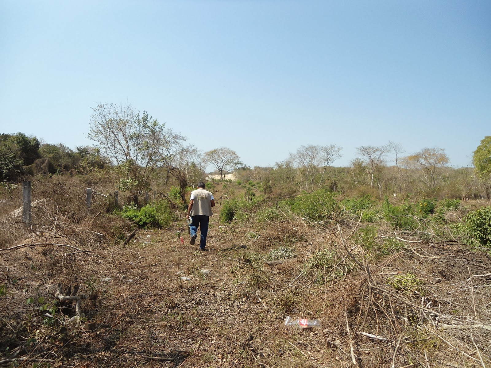 GCP: SUSPENDE PROFEPA ACTIVIDADES DE CAMBIO DE USO DE SUELO EN SAN MARCOS