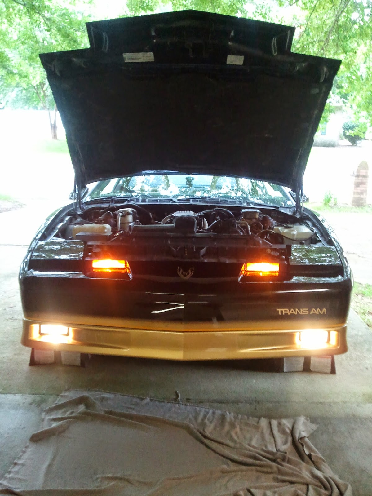 The Trans Am Diary