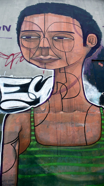 street art santiago de chile quinta normal arte callejero piguan