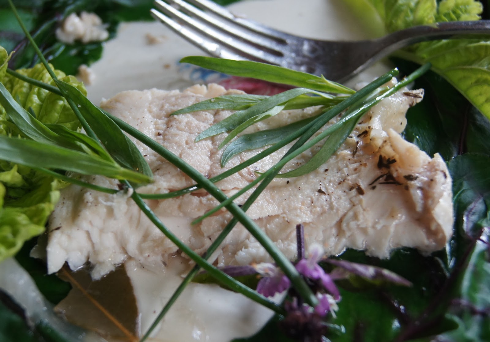 Trout Caviar Poacher's Delight