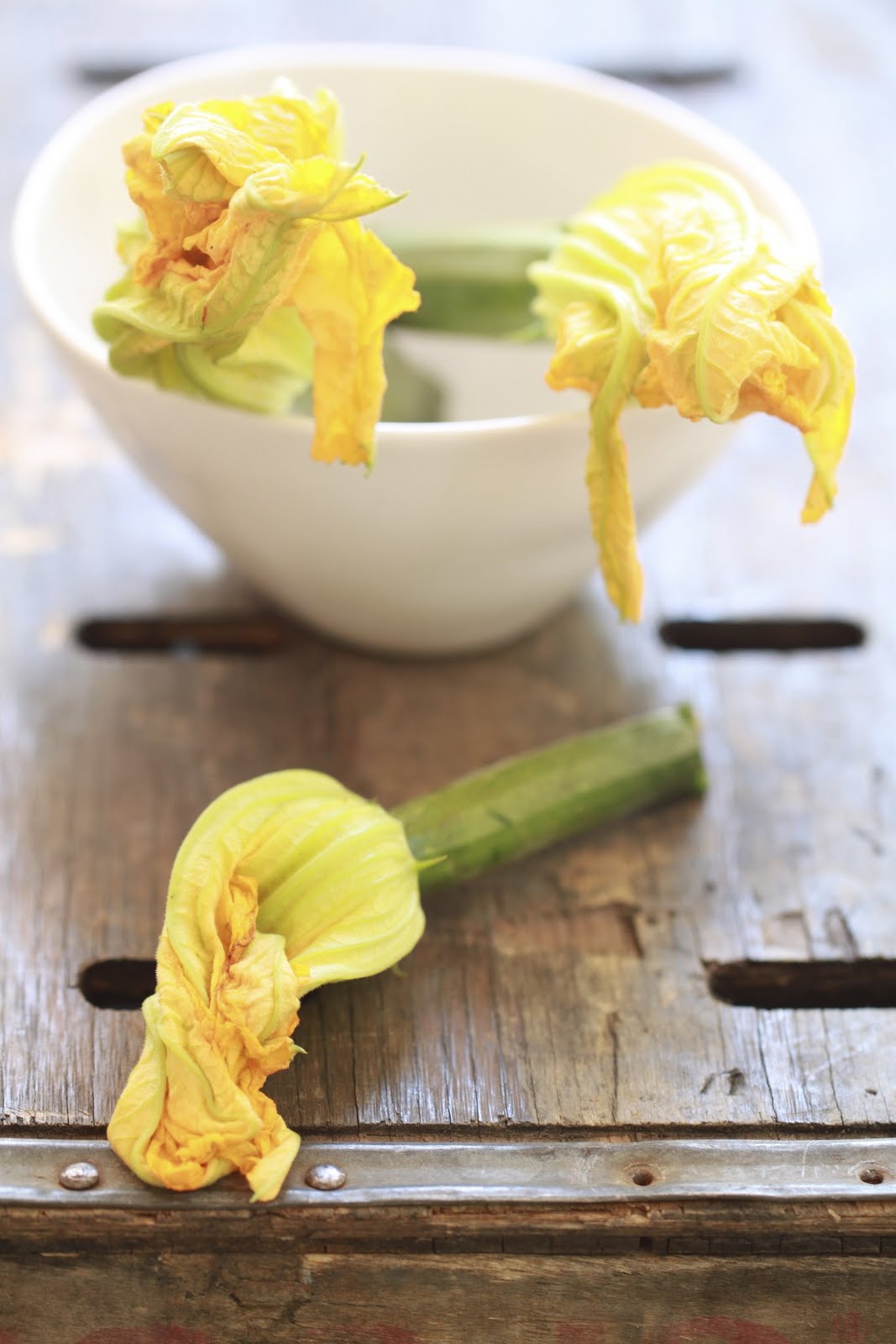 Epicurean Mom Stuffed Mozzarella Squash Blossoms with Rosemary