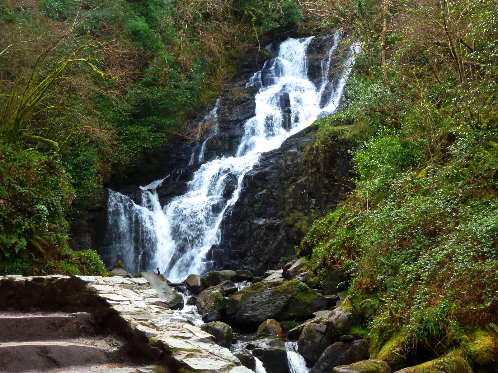 killarney national park Killarney national park overview nature lovers visiting killarney national park can explore top areas like gap of dunloe a stop at other sights like meeting of the waters and ladies view will create memories. killarney national park Killarney national park overview nature lovers visiting killarney national park can explore top areas like gap of dunloe a stop at other sights like meeting of the waters and ladies view will create memories.