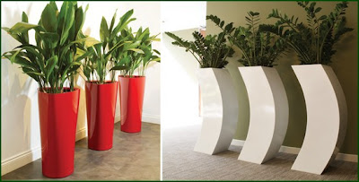 Dicas de Decoração com Vasos Fotos e Dicas de Decoração com Vasos de Plantas