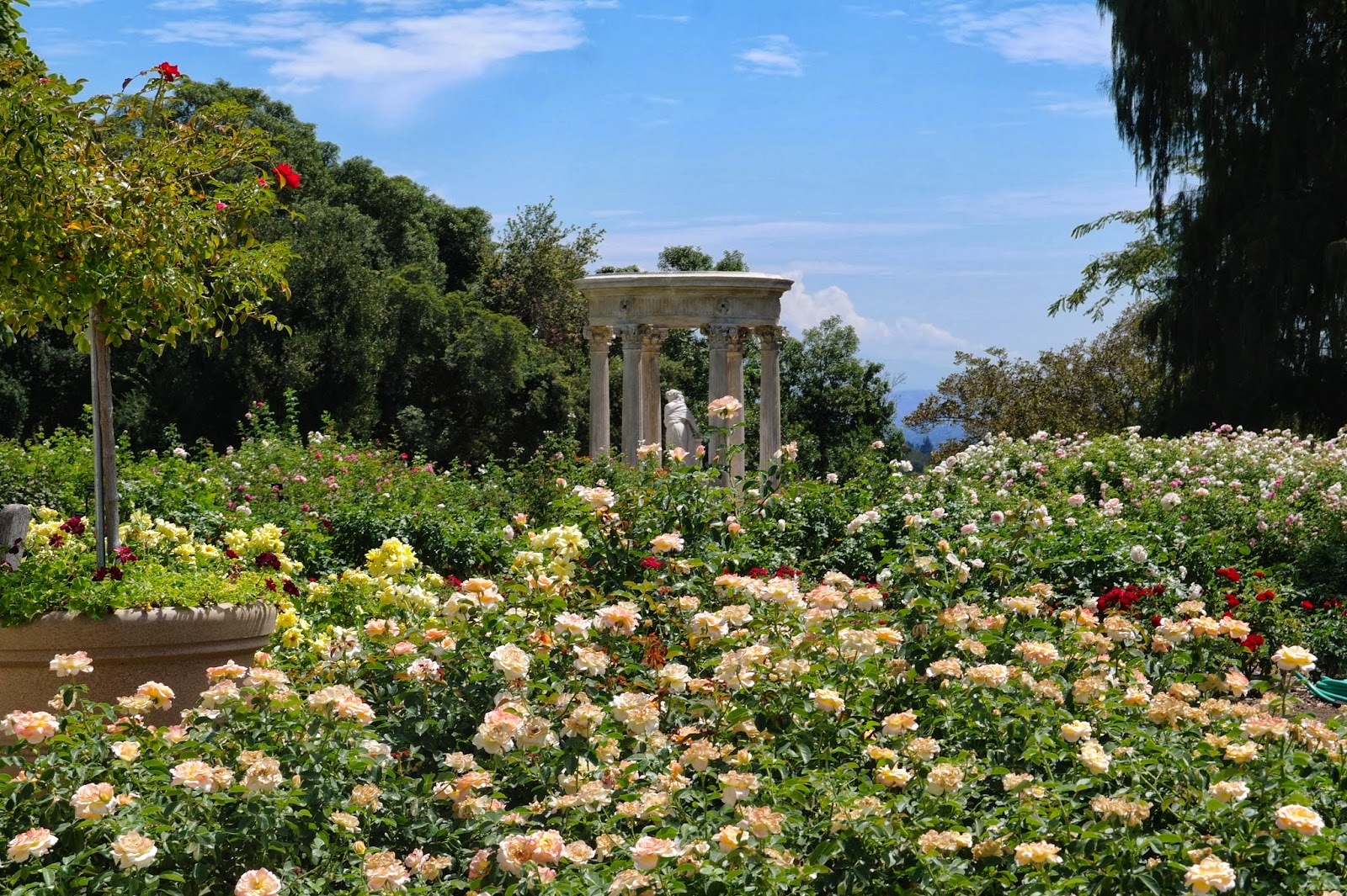 The Huntington Library, Art Collections, and Botanical Gardens