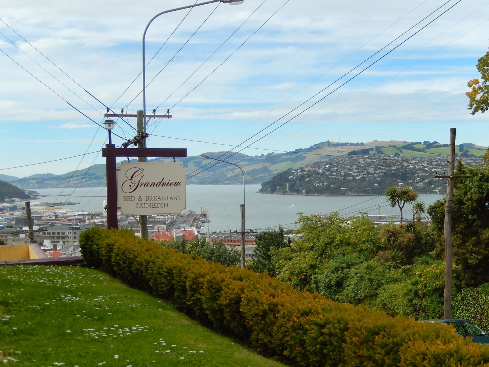 Cathy's Travels Back in Dunedin at the Grandview B&B