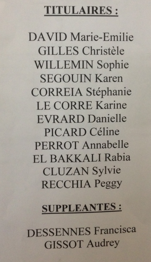 Ecole Saint Martin Les Elections De Delegues