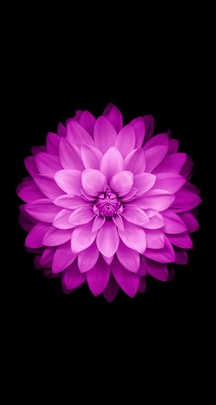 Descarga los fondos de pantalla del iPhone 6 - El blog de David