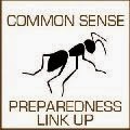 Common Sense Preparedness