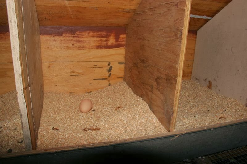 Sunny Slope Orchard Our mobile chicken coop