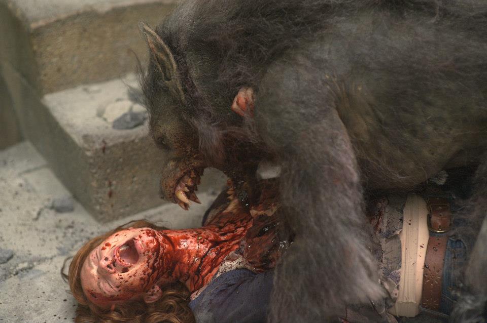 se filmer dogman ficha t 233 cnica se filmer dogman ficha t 233 cnica