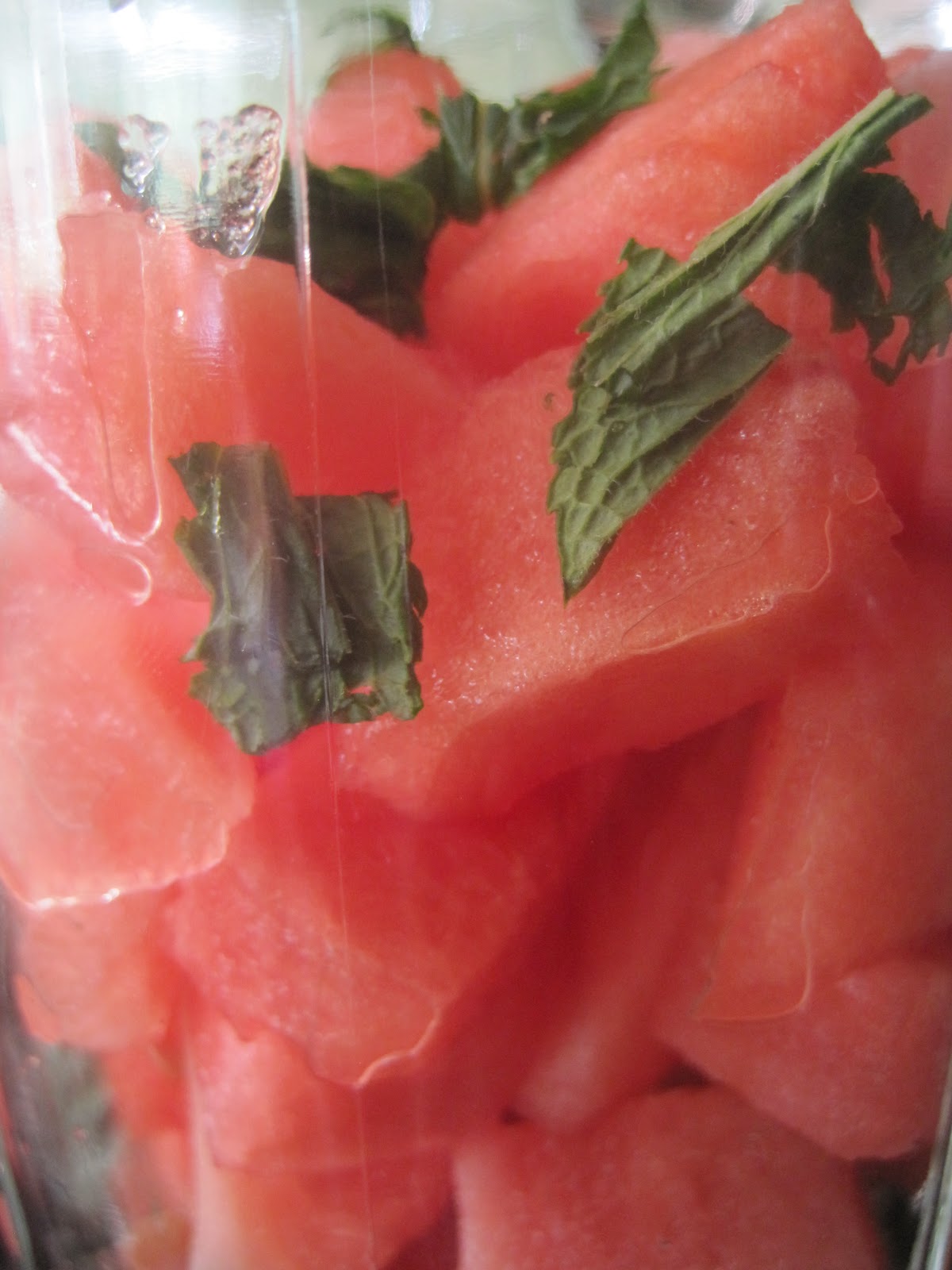 Watermelon Mint Slushie Perfect for Pregnancy