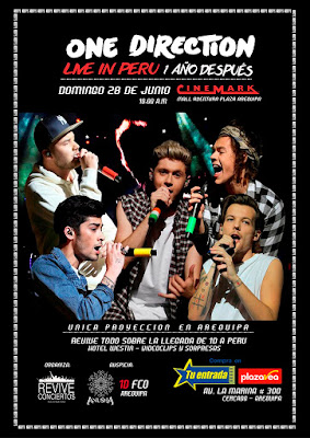 One direction en Arequipa, proyeccion