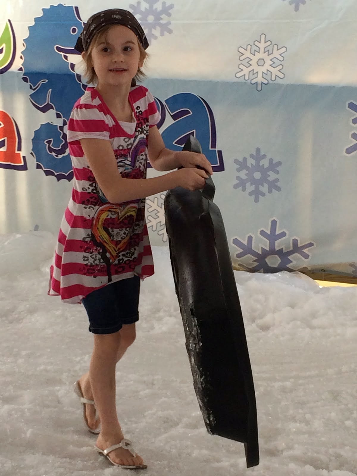 Snow fun at Florida Aquarium Perfectly Amusing