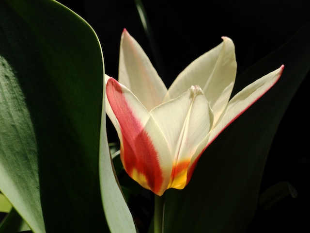 Schaeresteipapier Link Love Sweet Home Blog Von Marianne Kohler