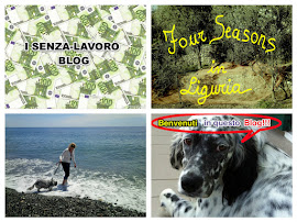 VISITATE I MIEI BLOG