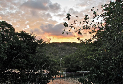 Island Woman S Culebra Sunlight In The Oasis