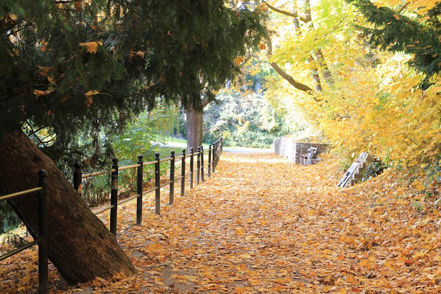 Fotografie Und Drumrum Spaziergang In Weisslingen Trauer