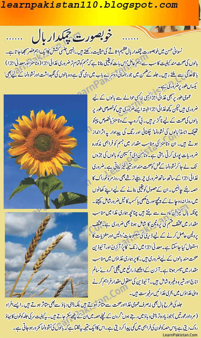 Best Hair Conditioner for Dry Hair In Urdu LearnPakistan