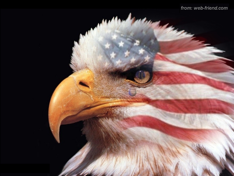 American+flag+background+with+eagle