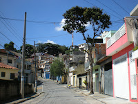 Arvore do bairro