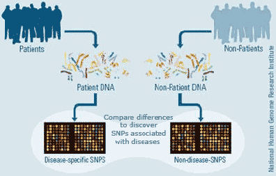 The Trouble With Epigenetics Part 2