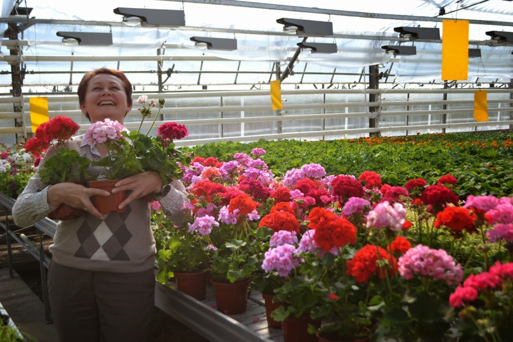 Рубрики в разделе 'Деловые услуги' :