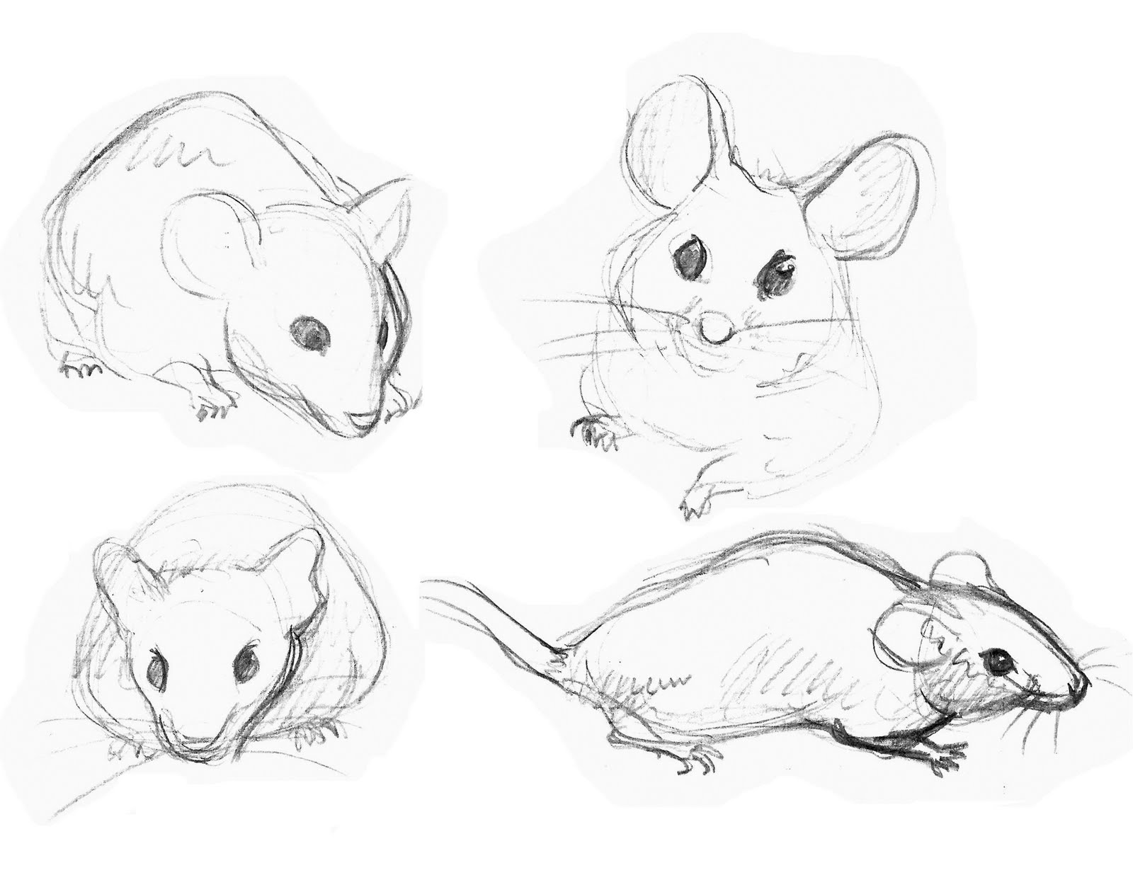 de Fato's Animation Blog: Mice Sketches