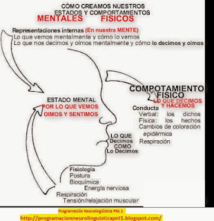 El movimiento de los ojos refleja los Tipos de Pensamiento Preferentes. Estos se basan en los cinco sentidos y nuestro estado interior: Vista, olfato, gusto, tacto, oído, emociones y sentimientos, que denominamos “canales” de comunicación. 